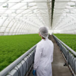 Blog Page Agrizo