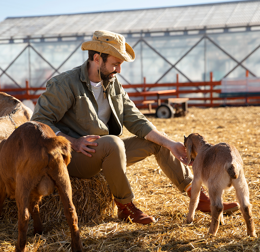 Agriculture and Dairy Farm